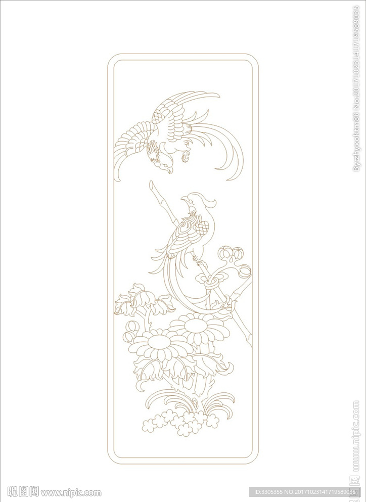 菊花鸟