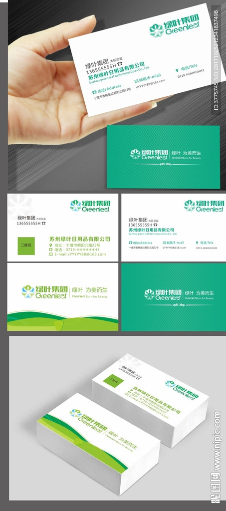 绿叶集团公司绿叶高端名片设计