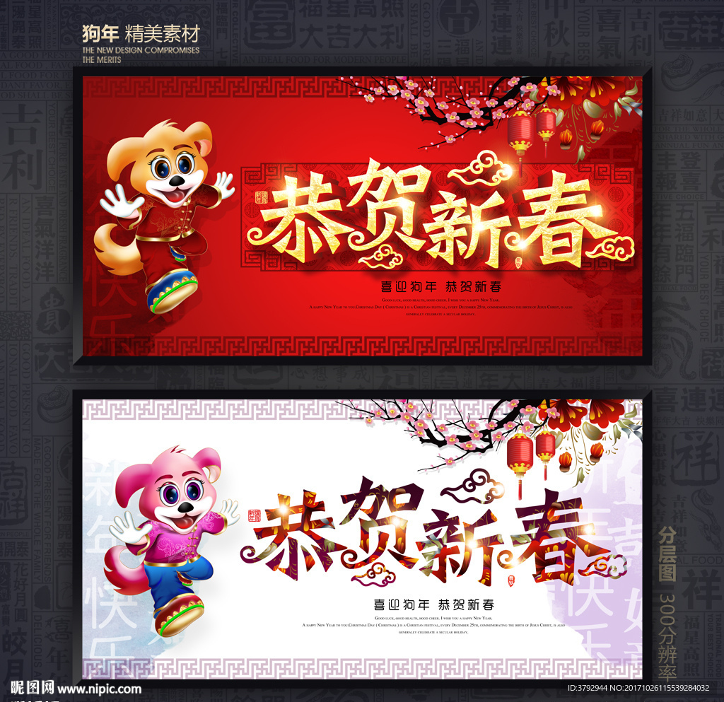 狗年
