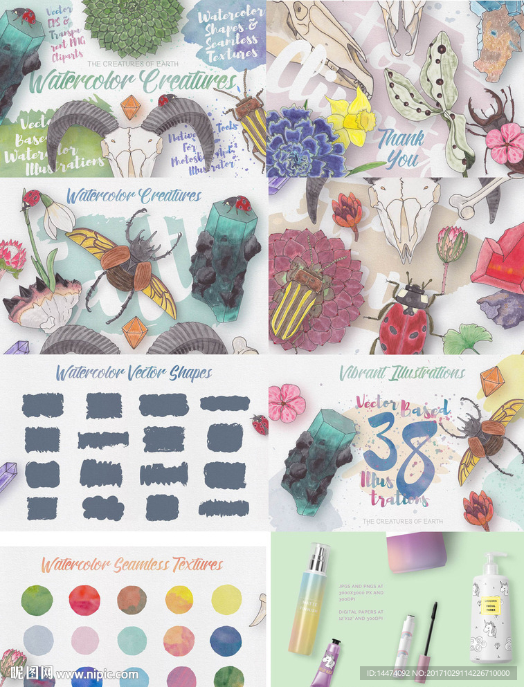 手绘水彩植物花朵