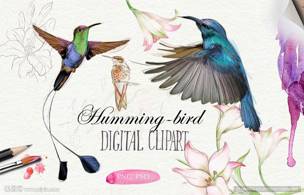 手绘水彩植物花朵