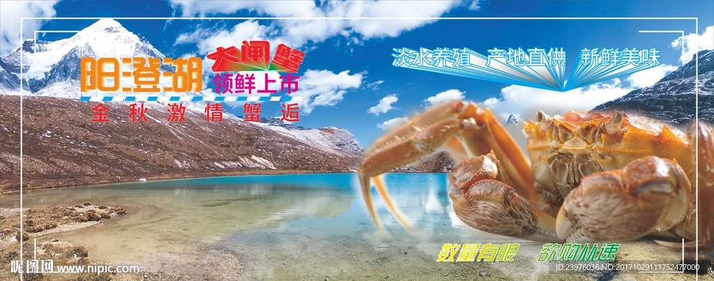 大闸蟹海报
