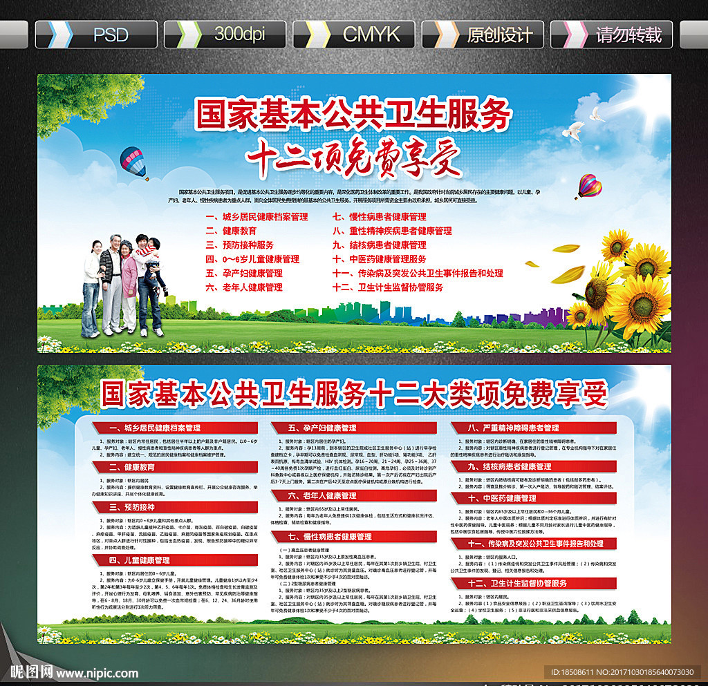 国家基本公共卫生服务