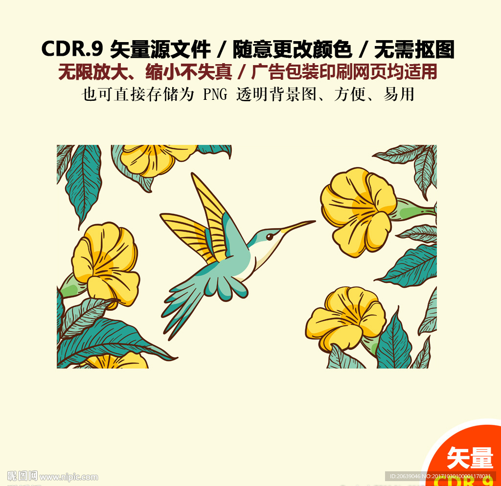 手绘美丽小鸟蜂鸟花草花朵矢量图