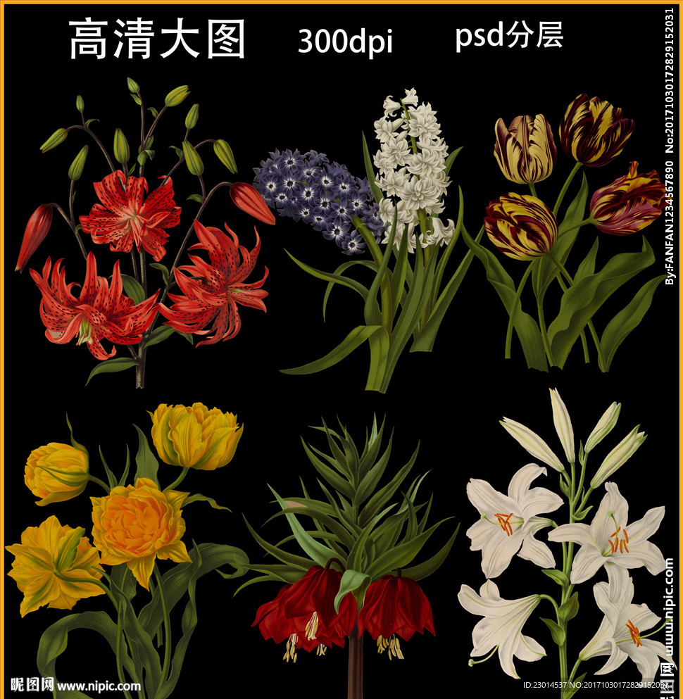 手绘花卉植物素材