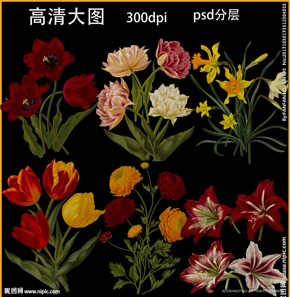 手绘花卉植物素材