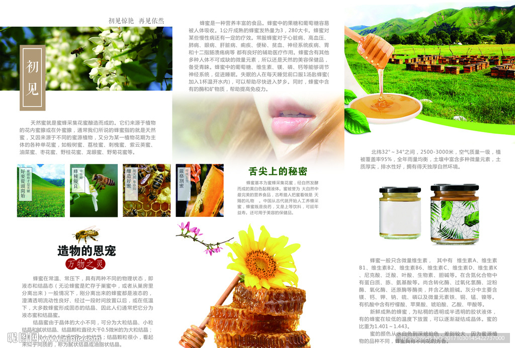 蜂蜜宣传单三折页宣传单DM广告