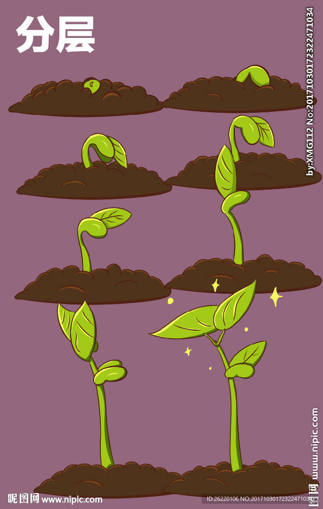 手绘植物生长过程