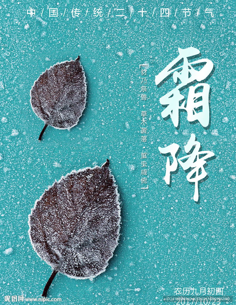 简约唯美二十四节气霜降配图海报