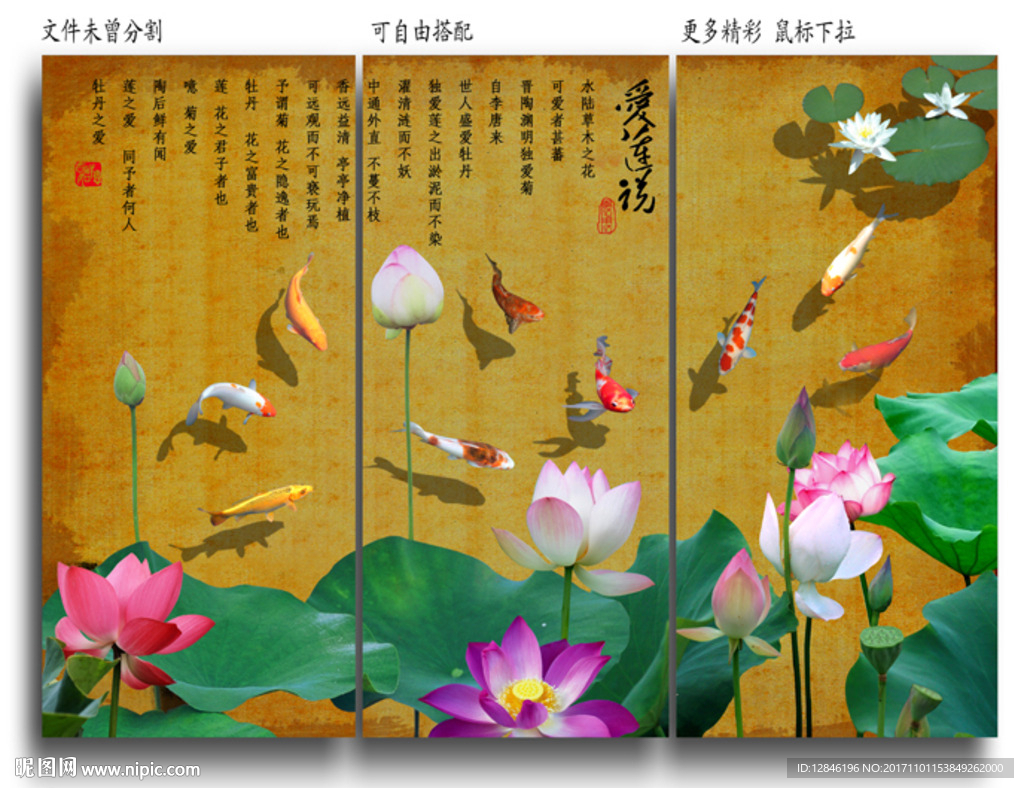 荷花