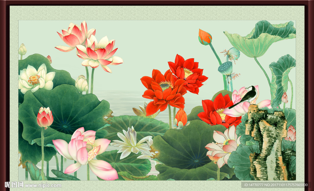 荷花图