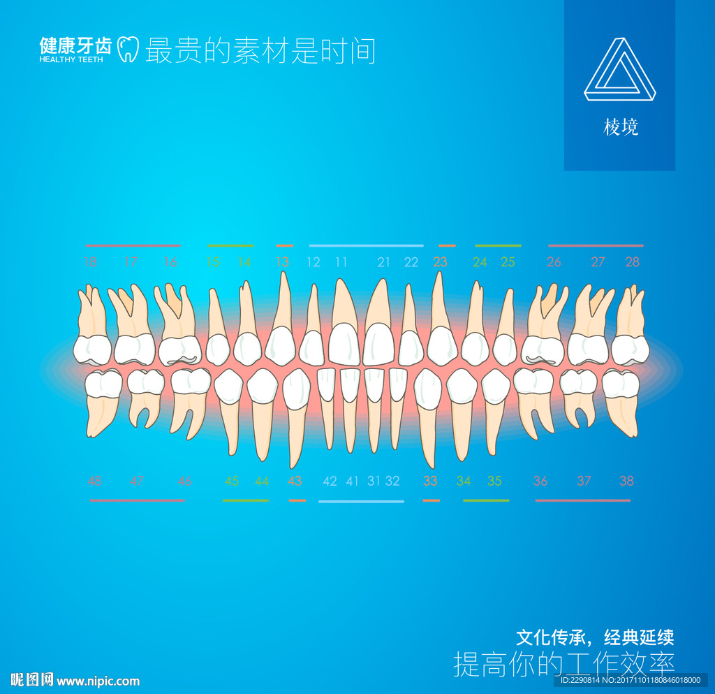 牙齿