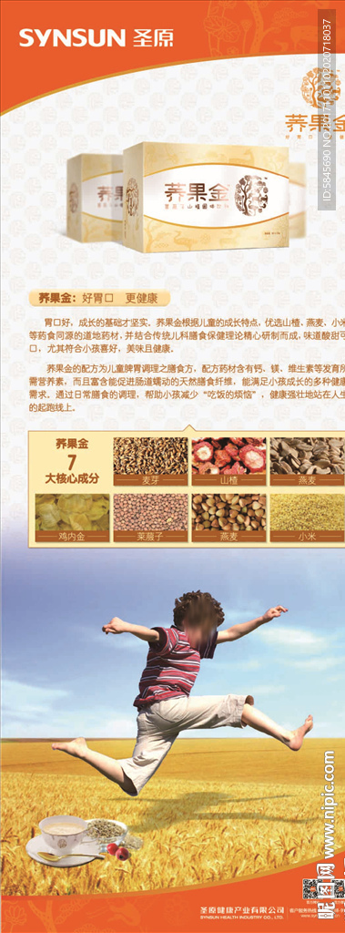 圣元 美容 荞果金  易拉宝