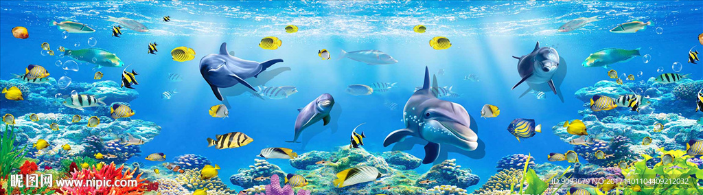 海底世界  海底生物 海底高清
