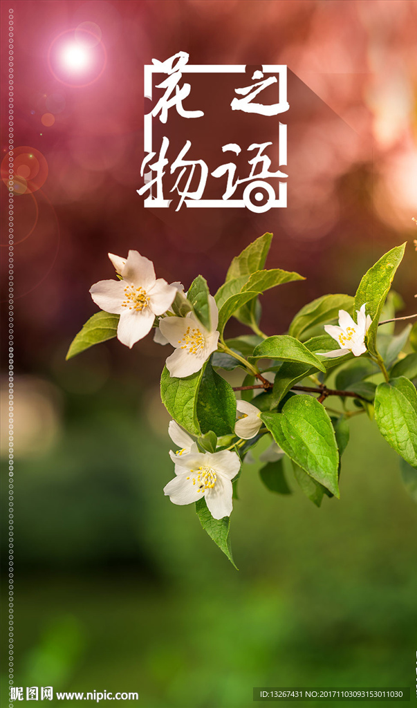清新花朵高清海报
