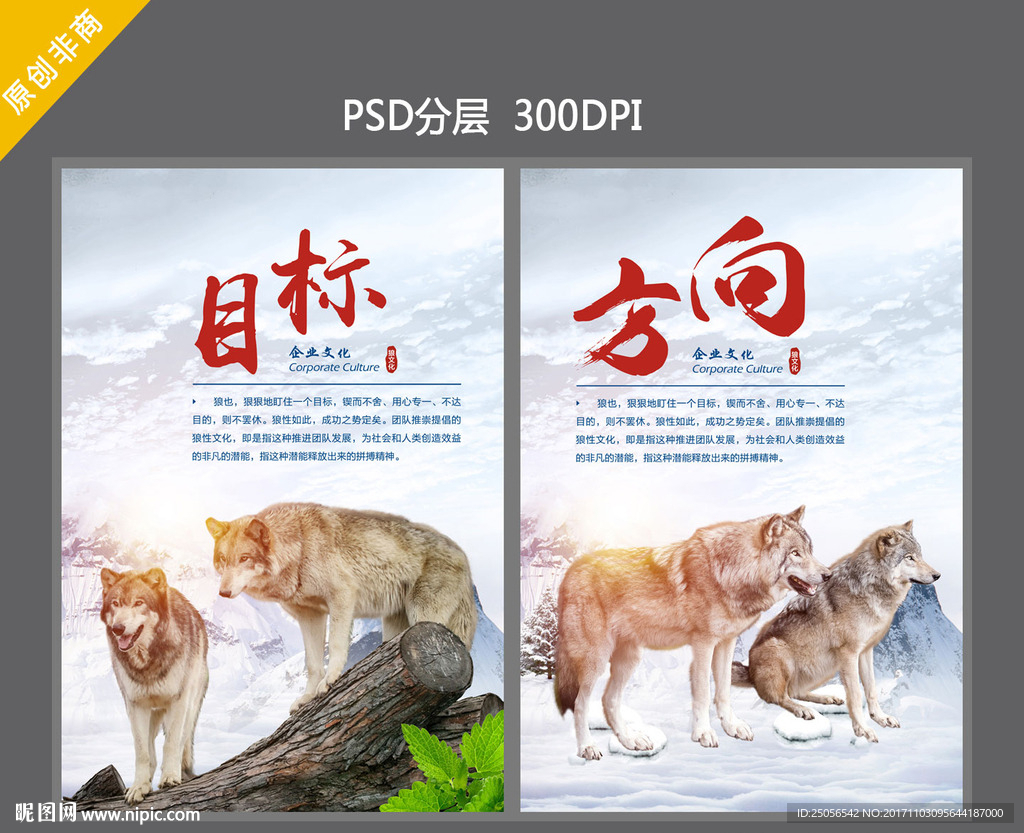 狼