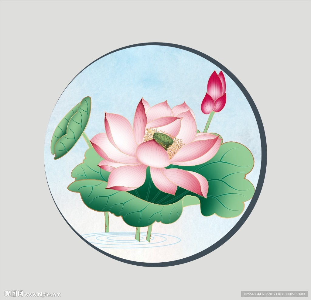 荷花
