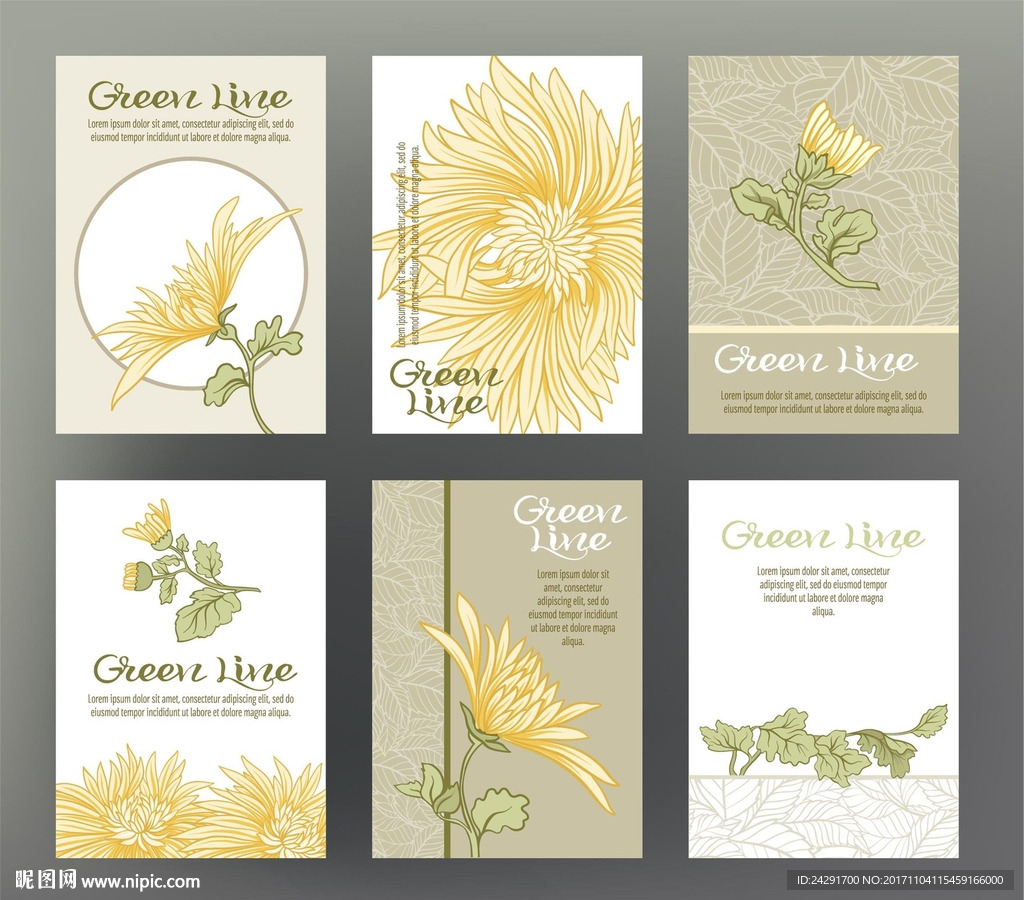 花卉插画 插画 印花 手绘花卉