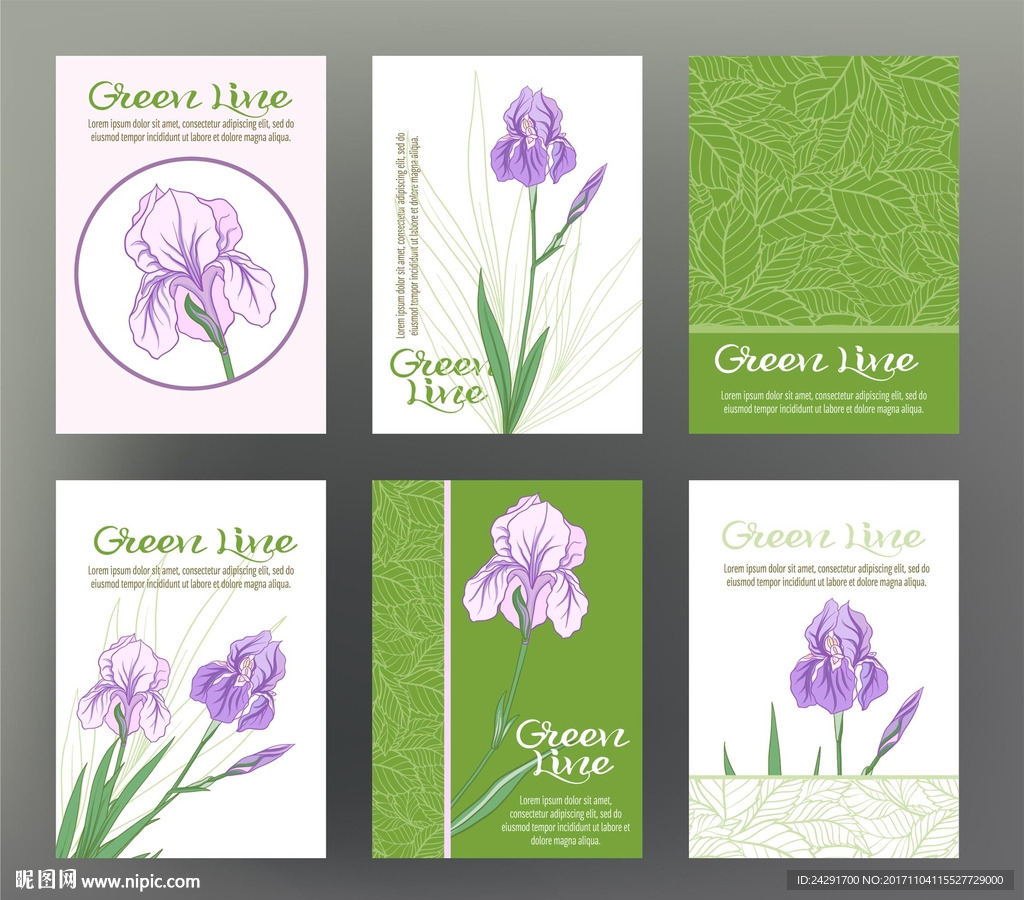 花卉插画 插画 印花 手绘花卉