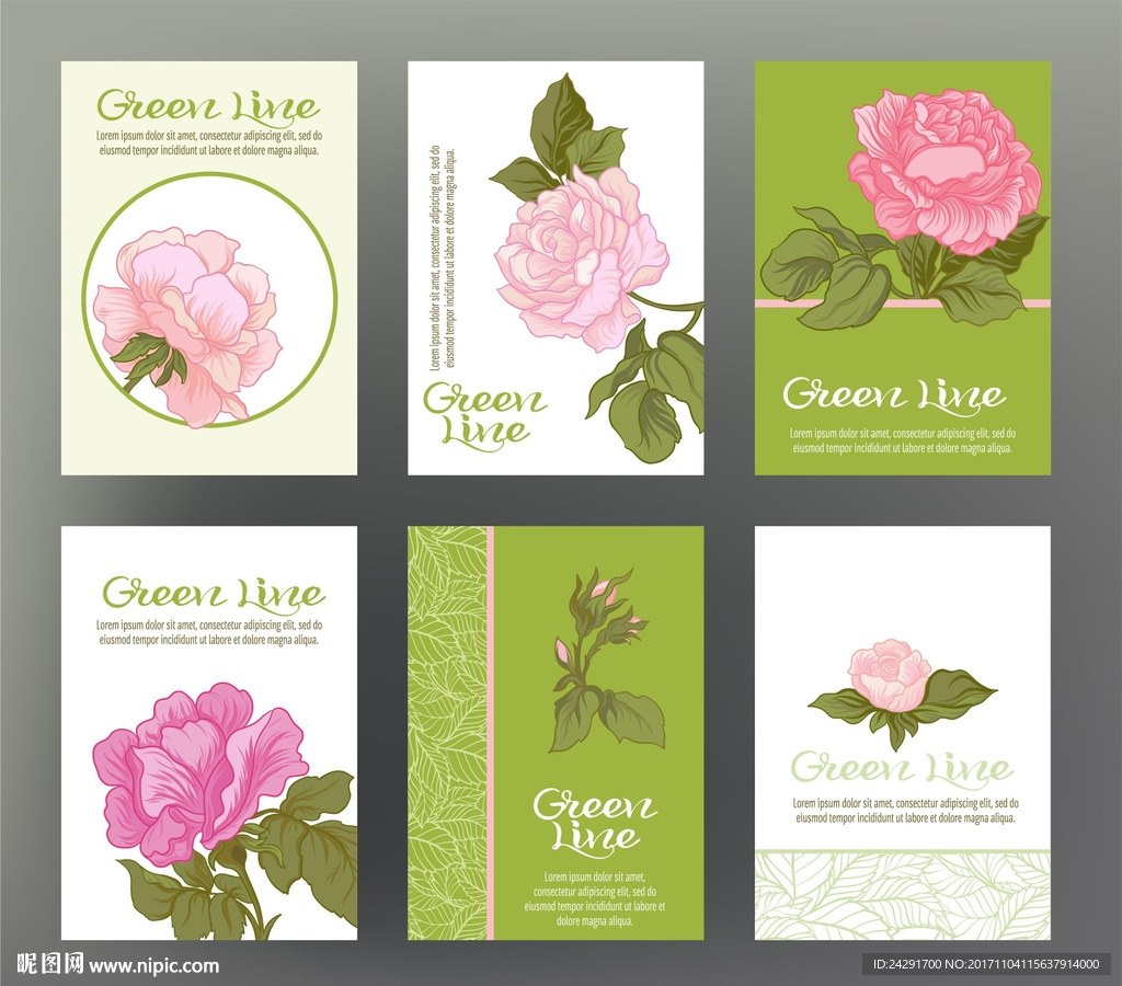 花卉插画 插画 印花 手绘花卉