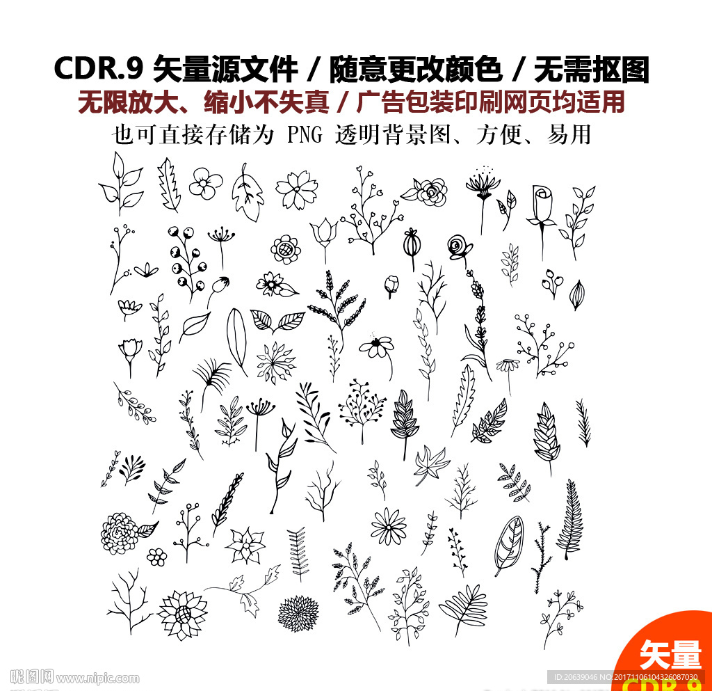 精美手绘树叶花草矢量图