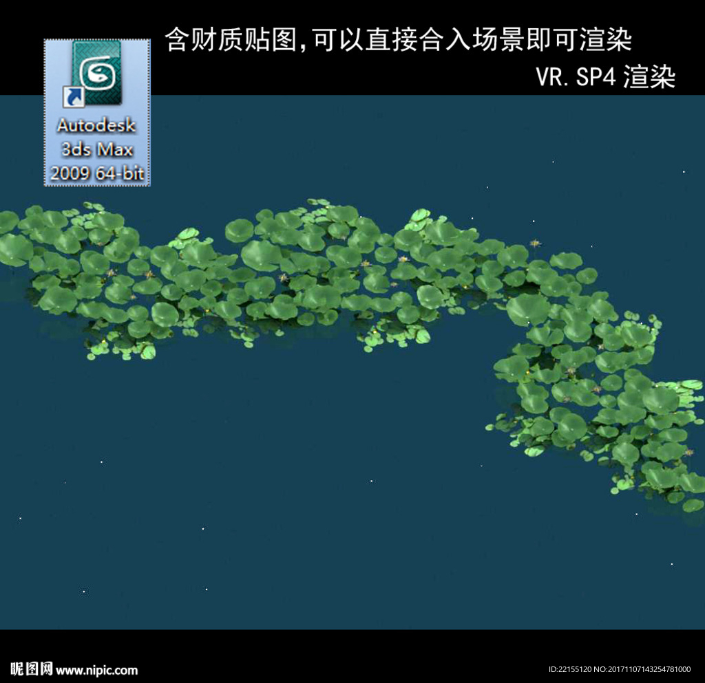 荷花模型