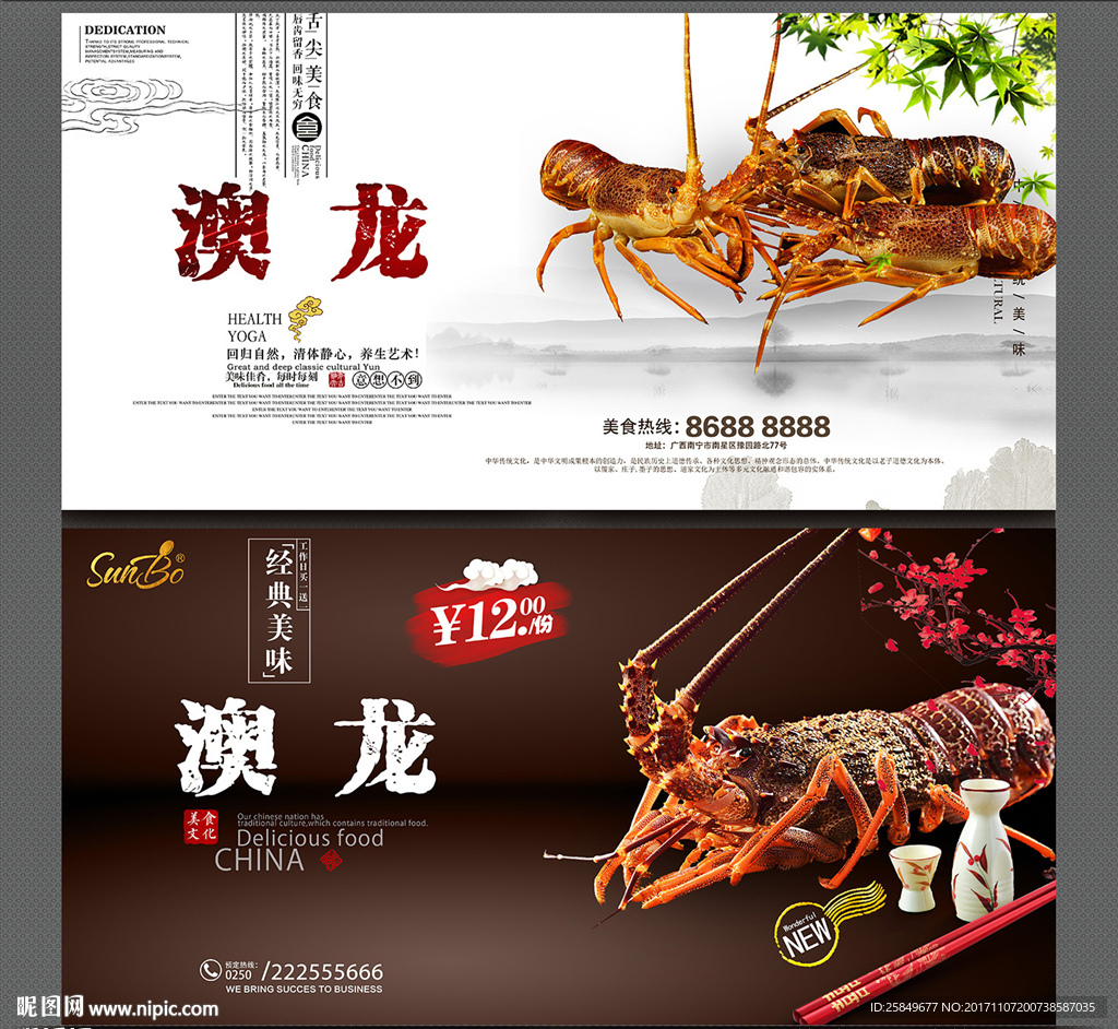 澳龙