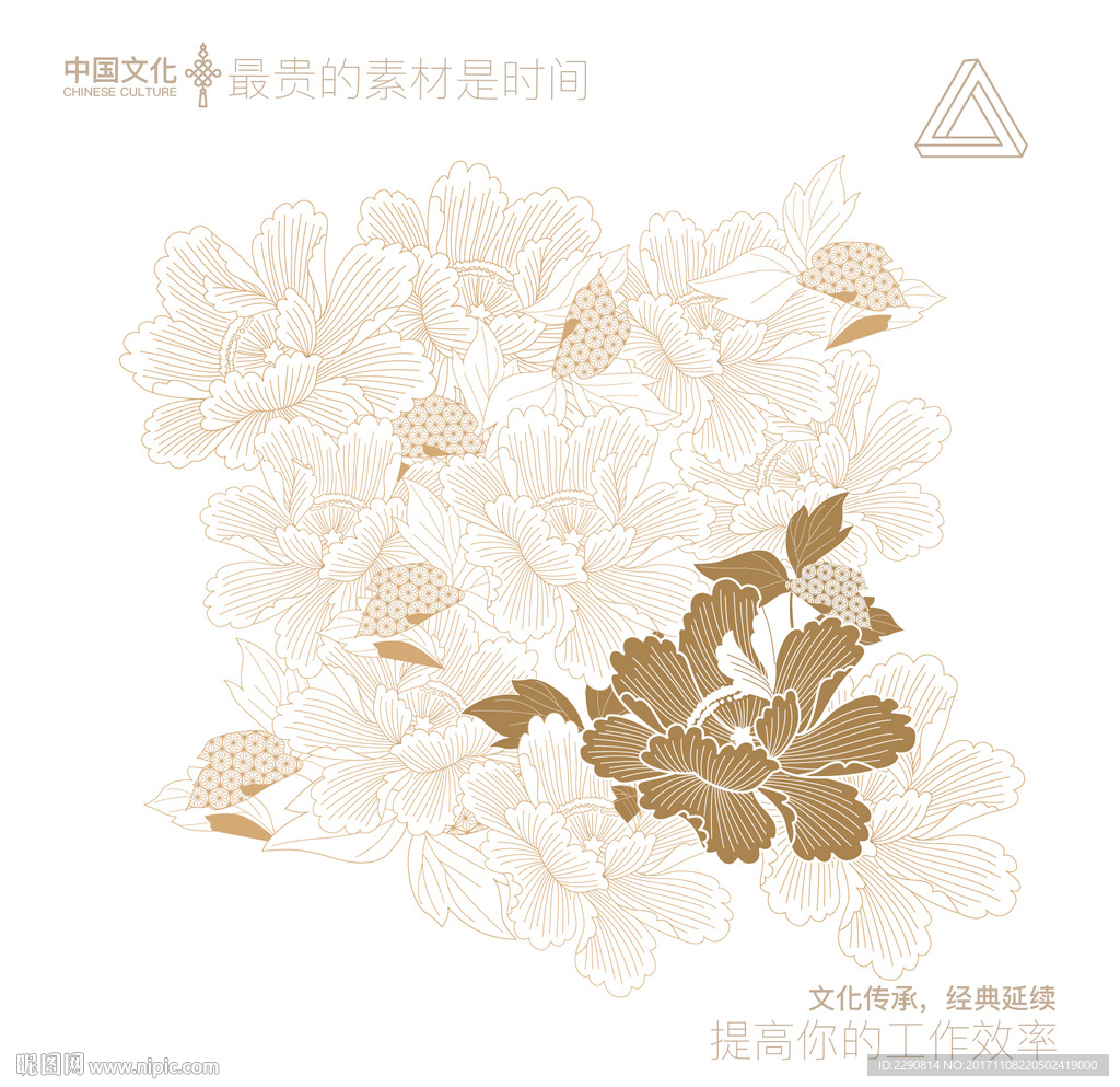 牡丹花