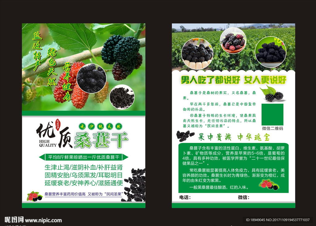 桑葚干宣传单