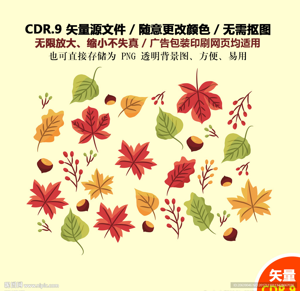 手绘金秋叶子树叶矢量图