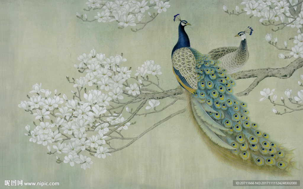 孔雀梅花图 未分层