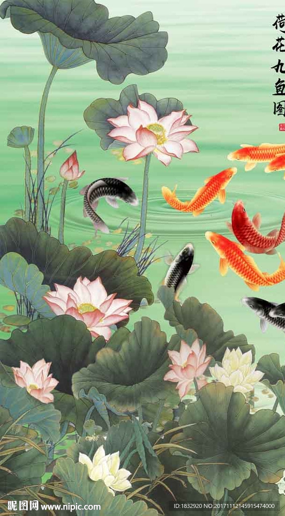 荷花九鱼图