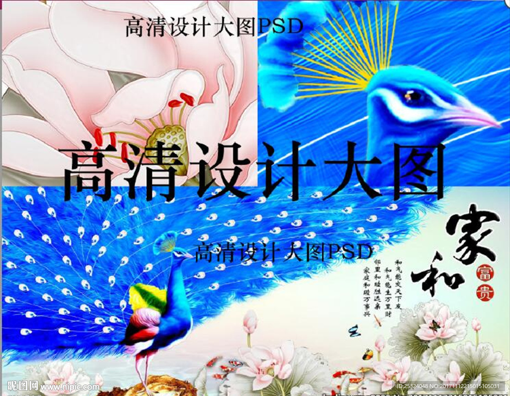家和万事兴 孔雀图片