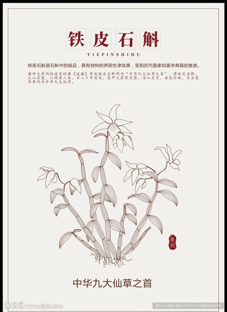 铁皮石斛