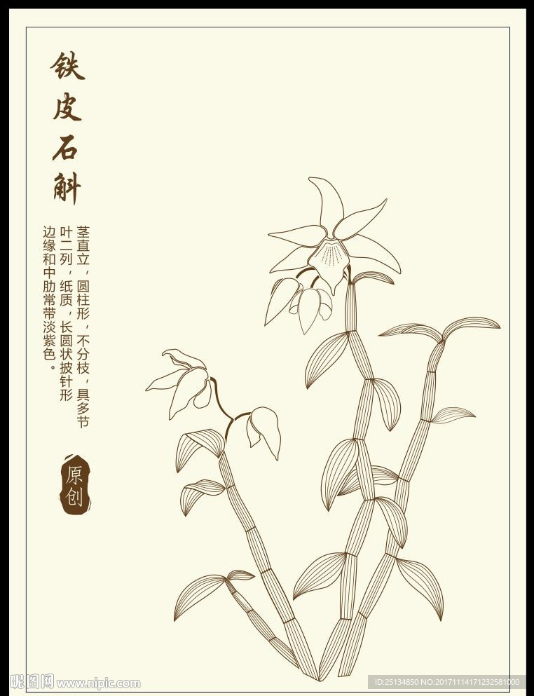 铁皮石斛