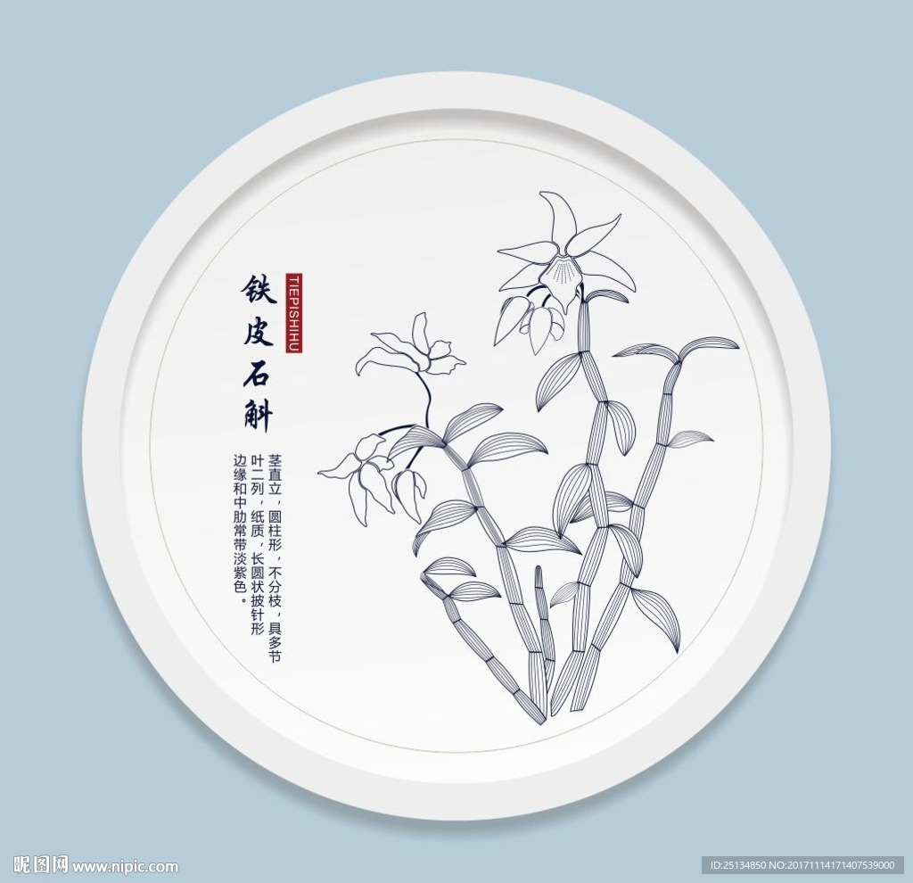 霍山石斛