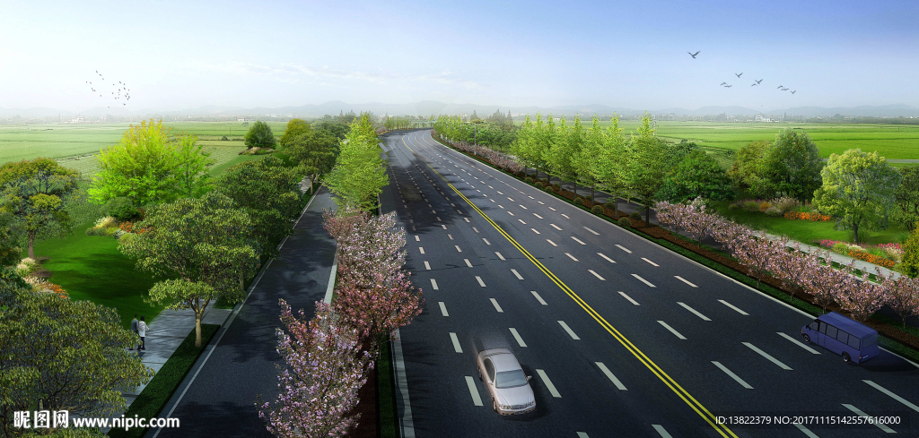 道路绿化