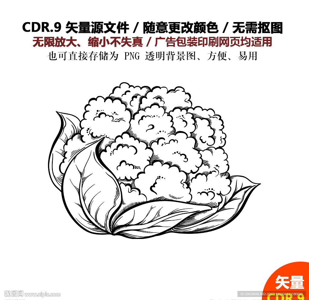 手绘线描蔬菜水果菜花矢量图