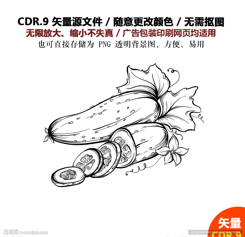 手绘线描蔬菜水果黄瓜矢量图