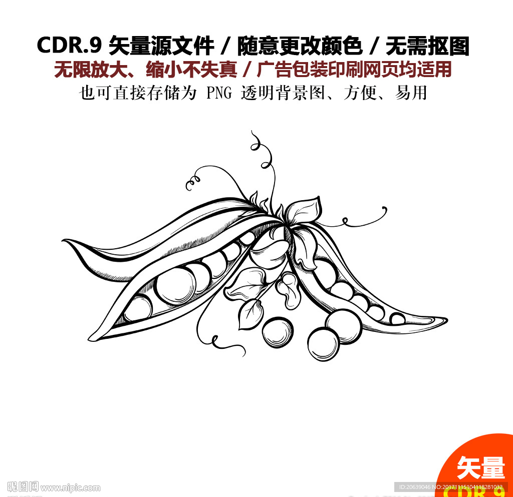 手绘线描蔬菜水果毛豆矢量图