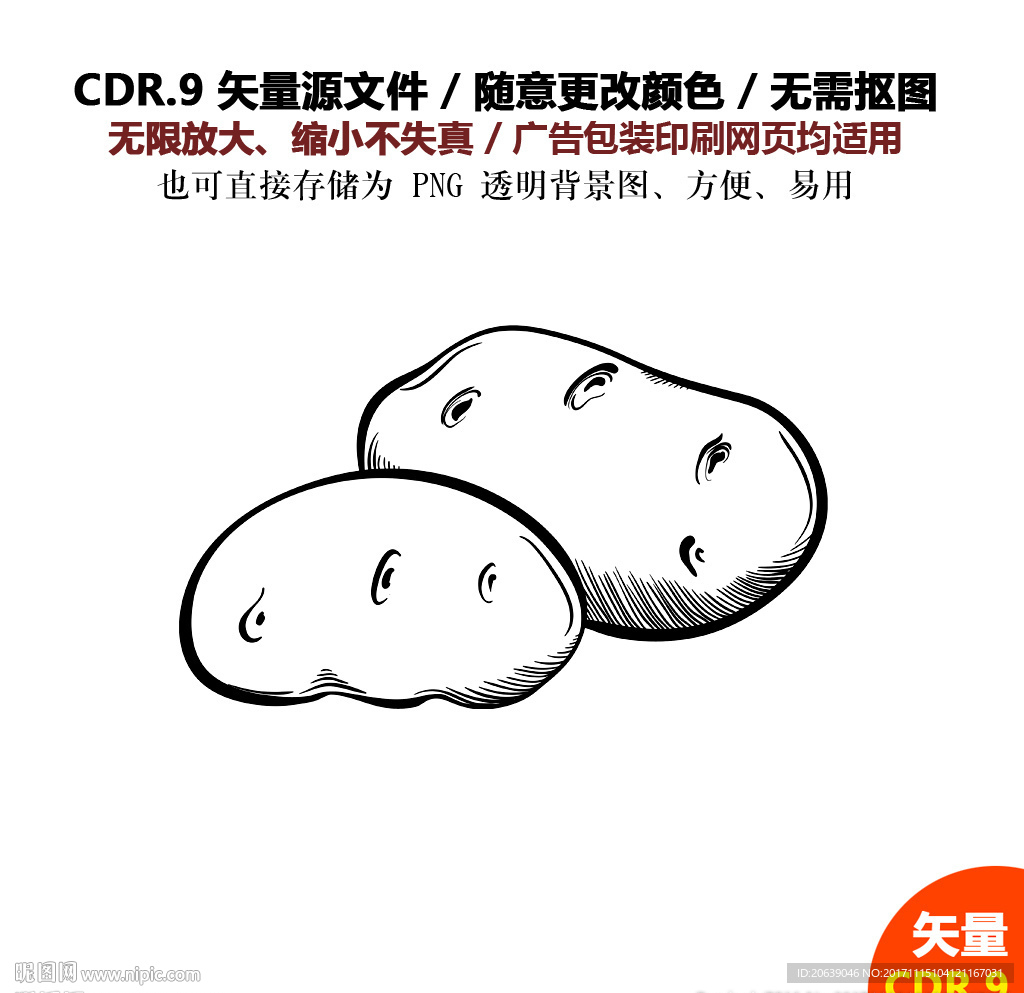 手绘线描蔬菜水果土豆矢量图