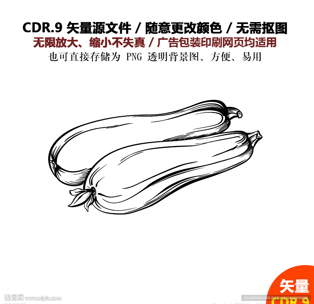 手绘线描蔬菜水果西葫芦矢量图