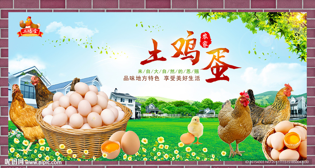 土鸡蛋图片