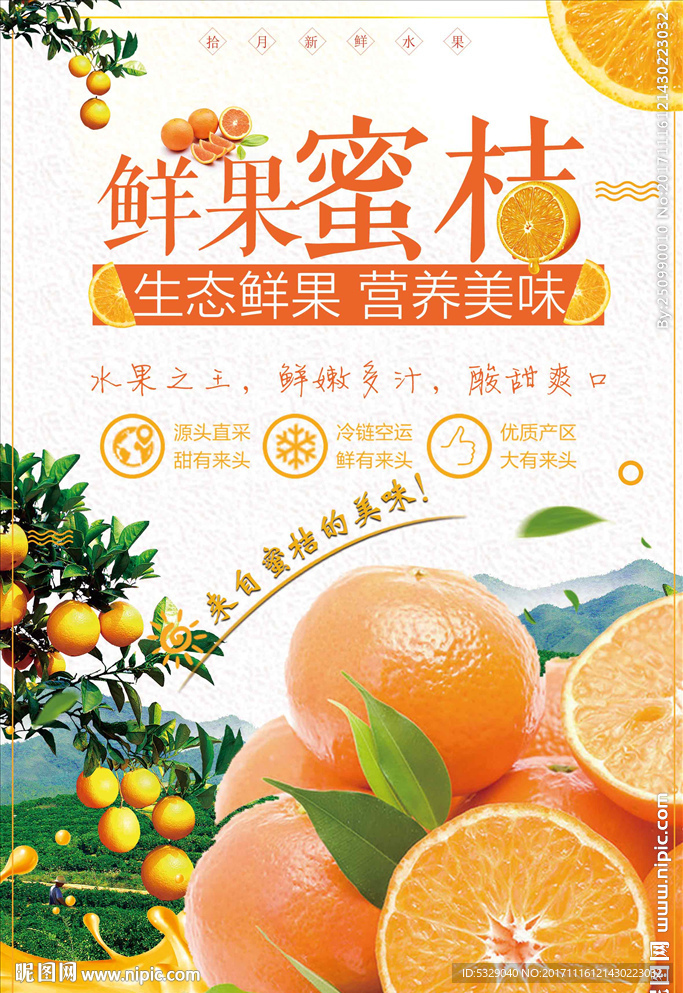 清爽橘子水果新鲜蜜桔海报