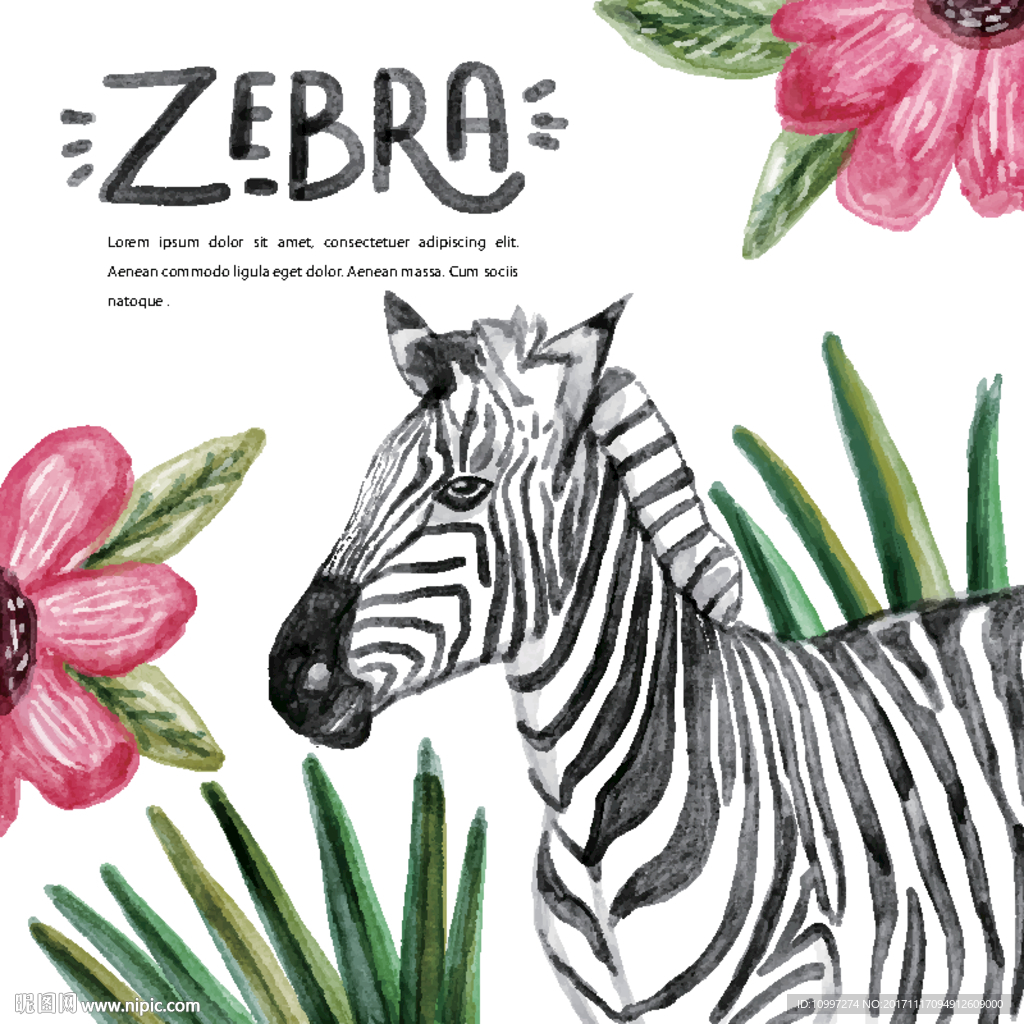 斑马ZEBRA