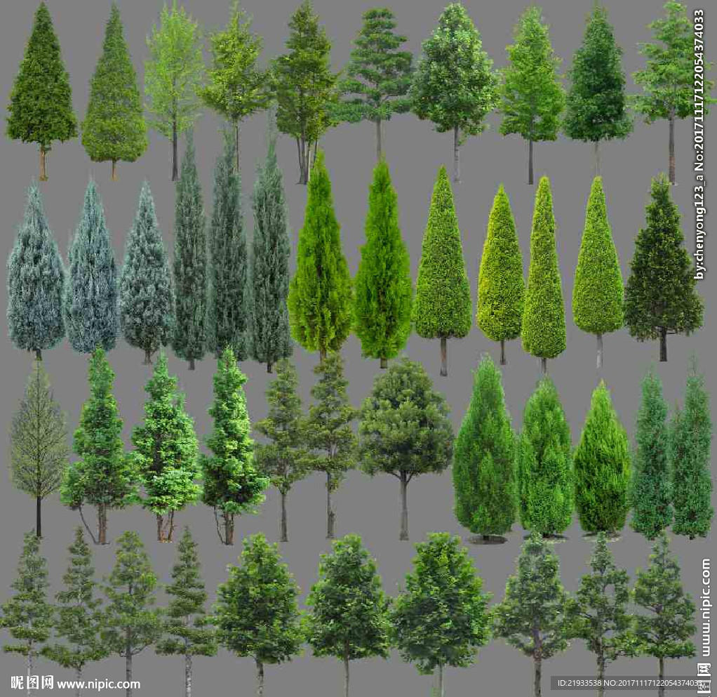 建筑景观效果图后期植物