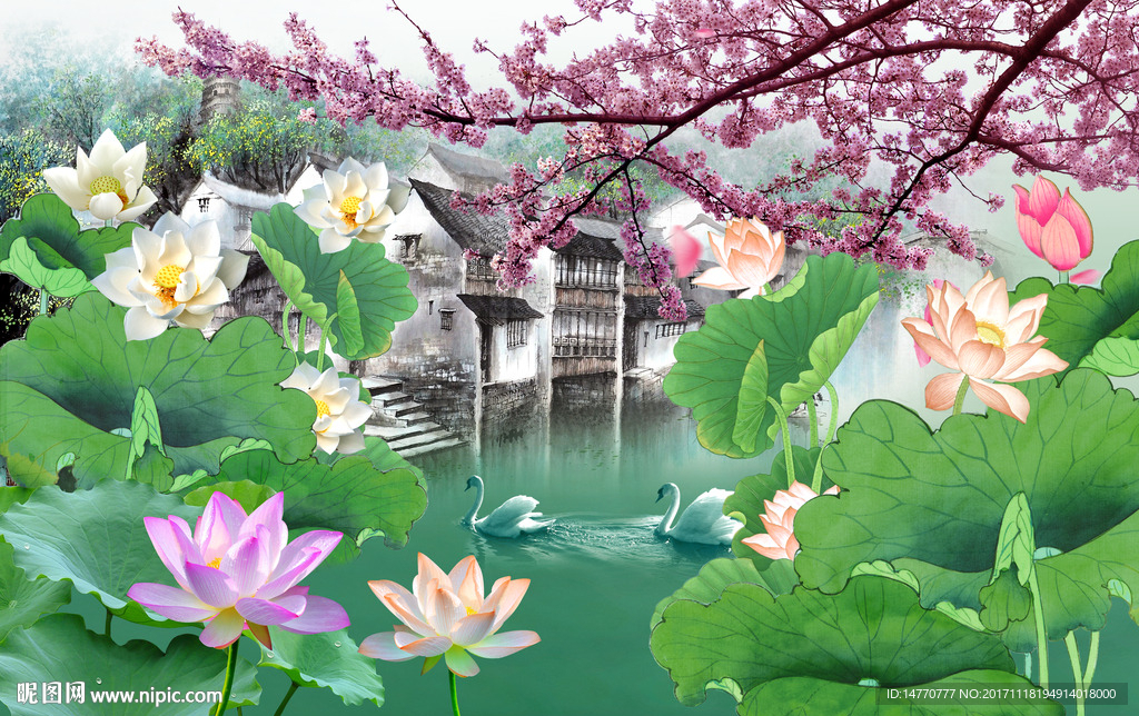 国画荷花