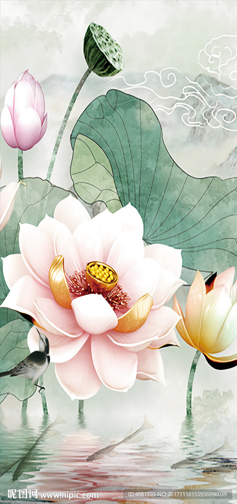 荷花