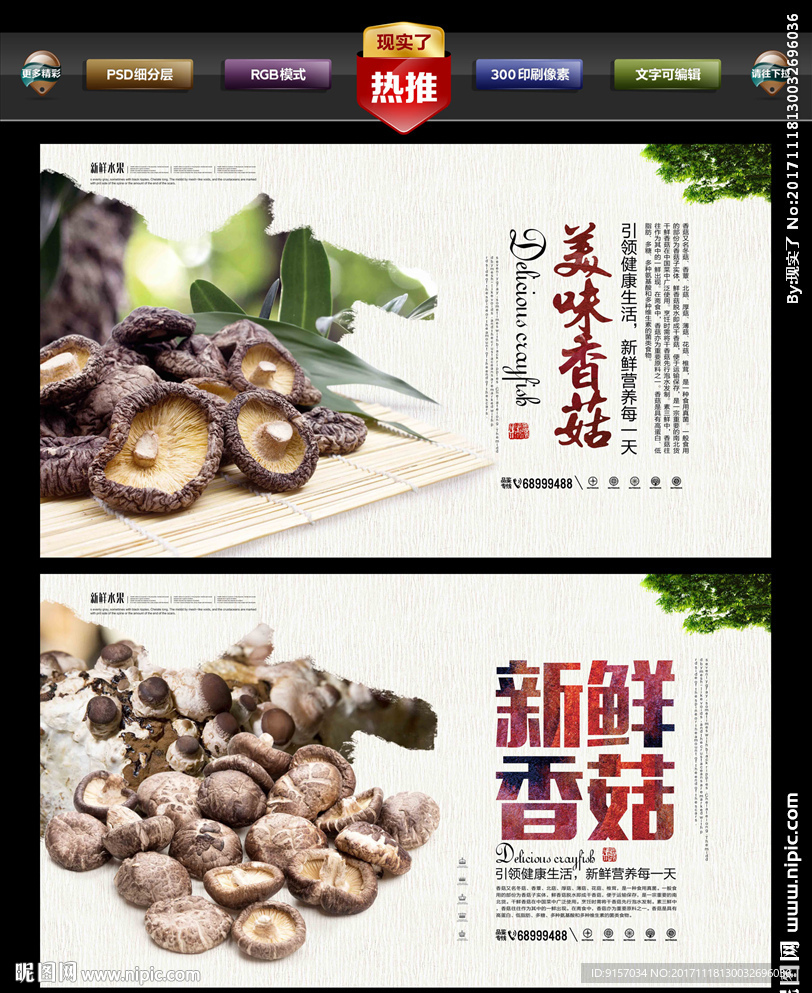 香菇