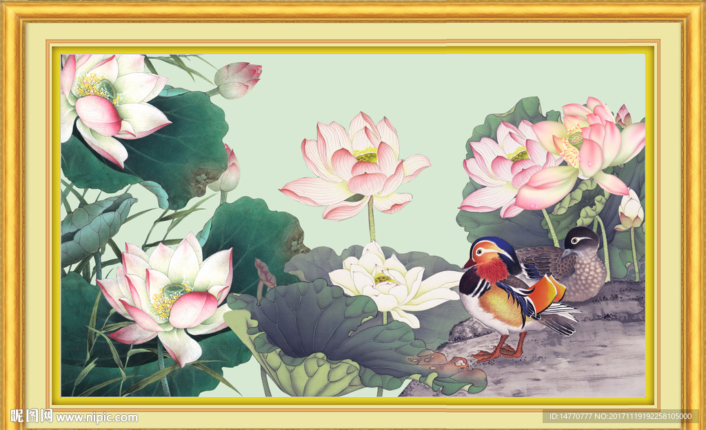 国画荷花